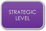 CIMA Strategic Level Accounting